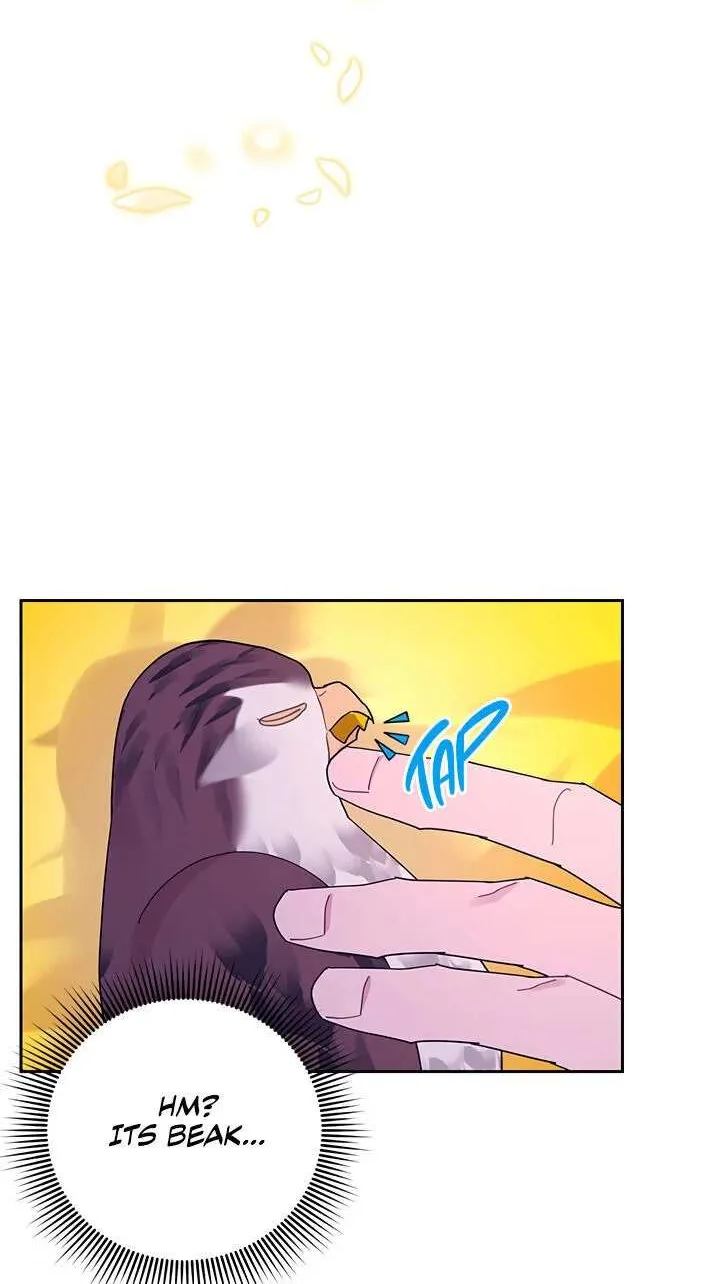 Read Cavier Falcon Princess chapter 38 image 59 on Lezhin