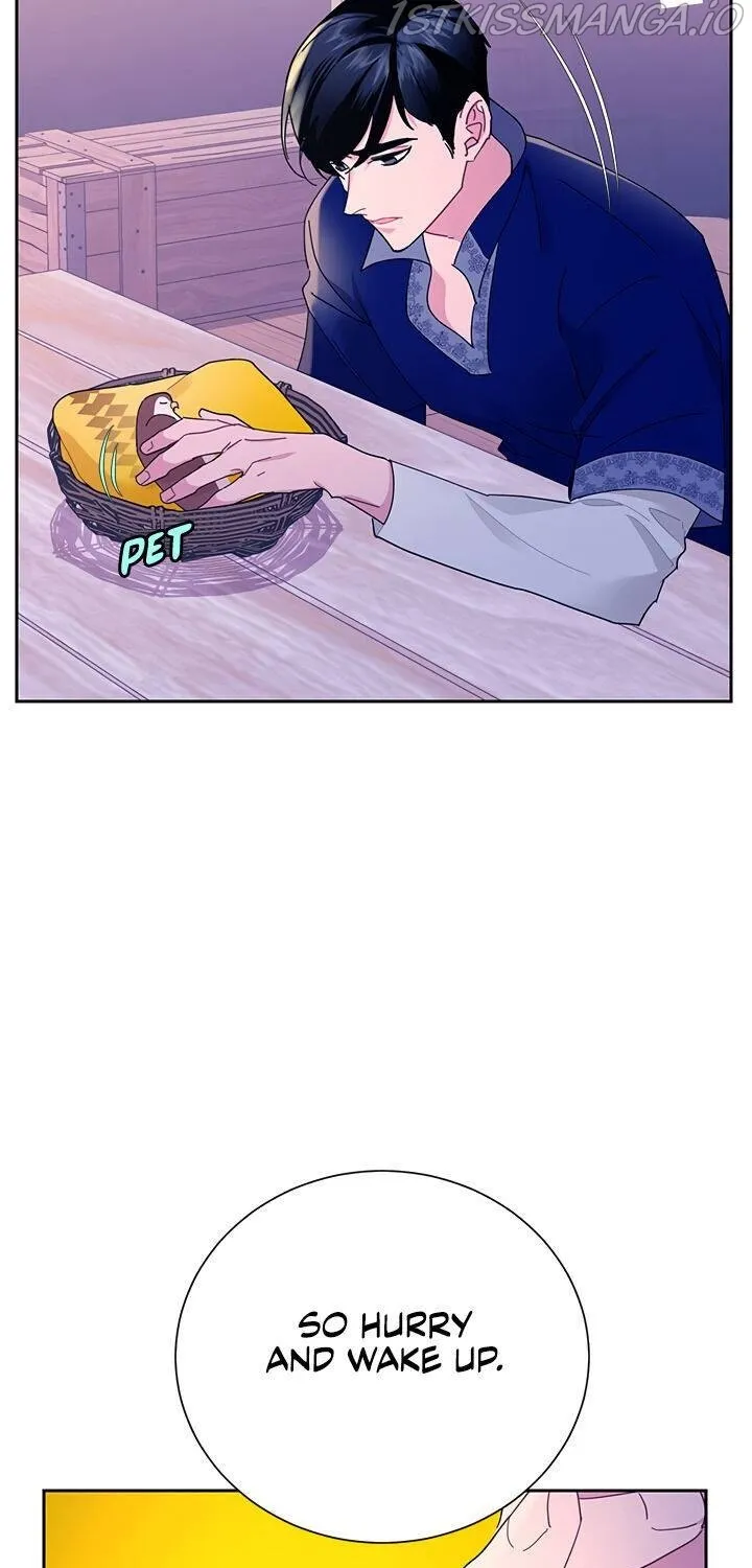 Read Cavier Falcon Princess chapter 39 image 10 on Lezhin
