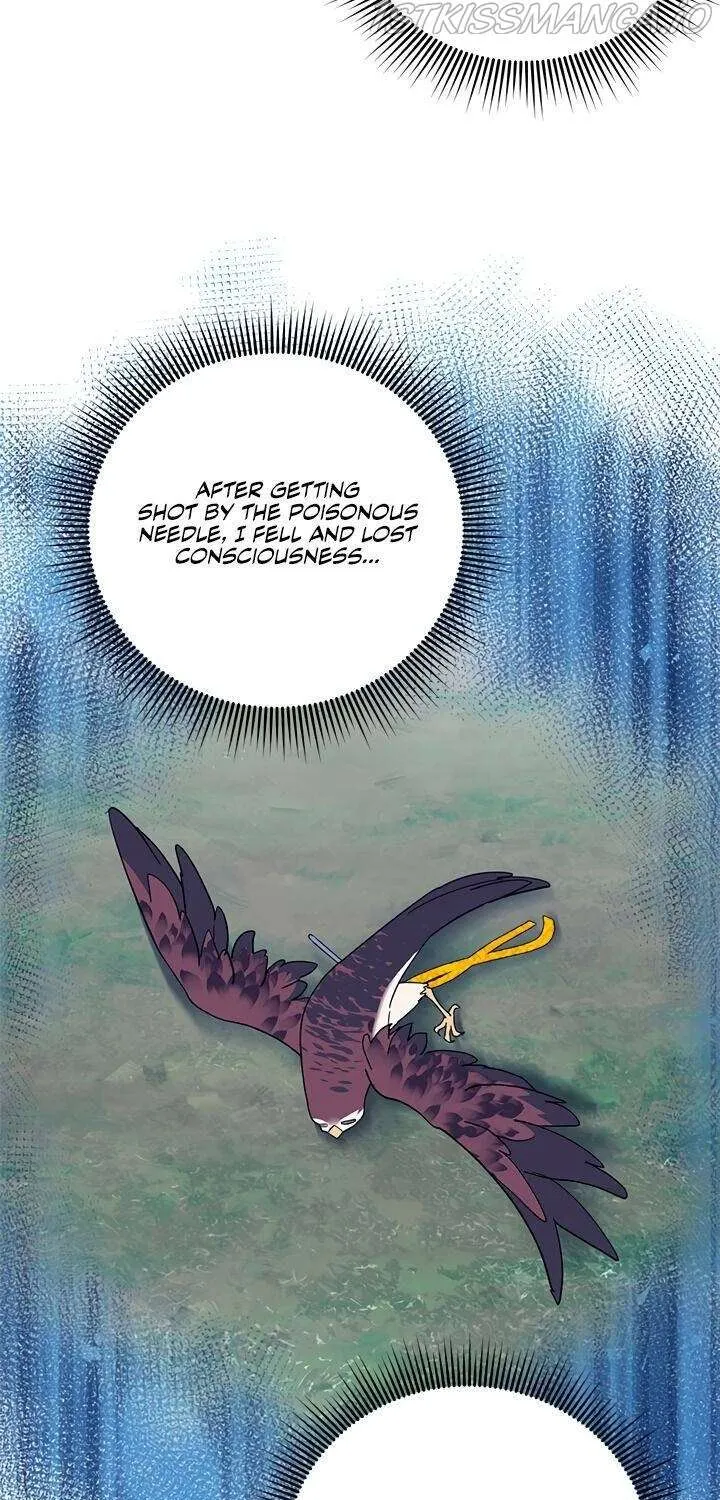 Read Cavier Falcon Princess chapter 39 image 14 on Lezhin