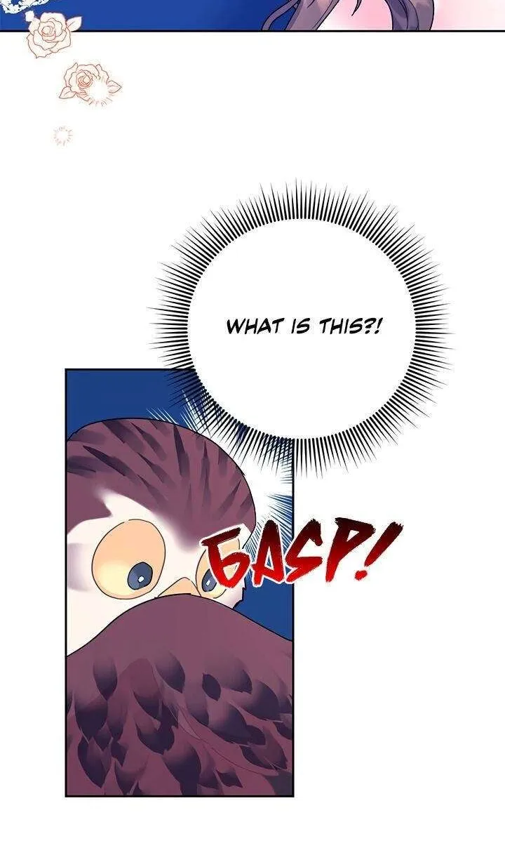 Read Cavier Falcon Princess chapter 39 image 17 on Lezhin