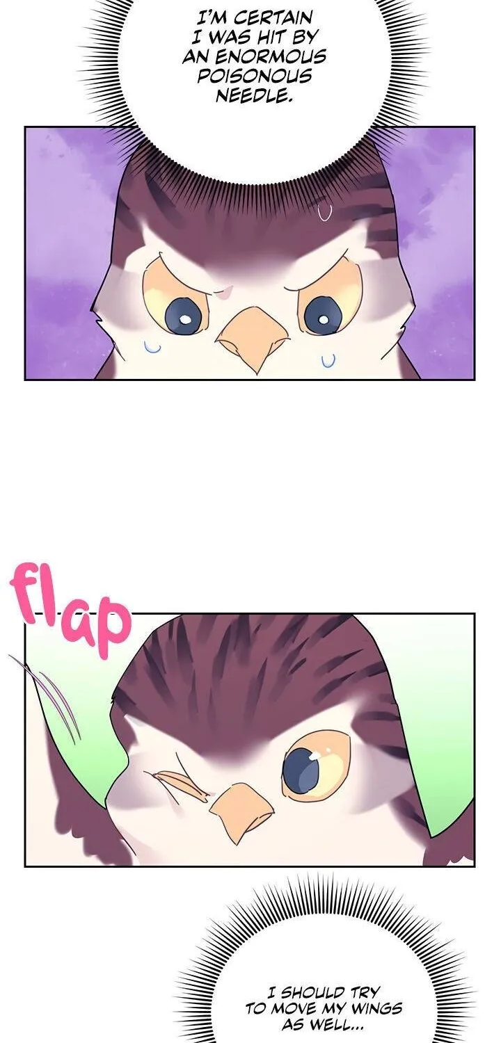 Read Cavier Falcon Princess chapter 39 image 19 on Lezhin