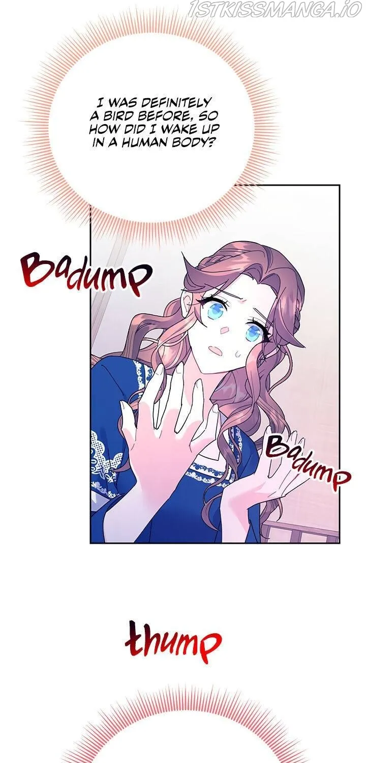 Read Cavier Falcon Princess chapter 39 image 30 on Lezhin