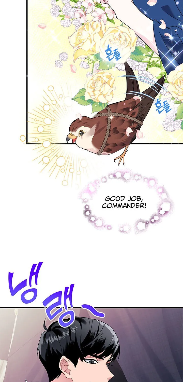 Read Cavier Falcon Princess chapter 4 image 14 on Lezhin
