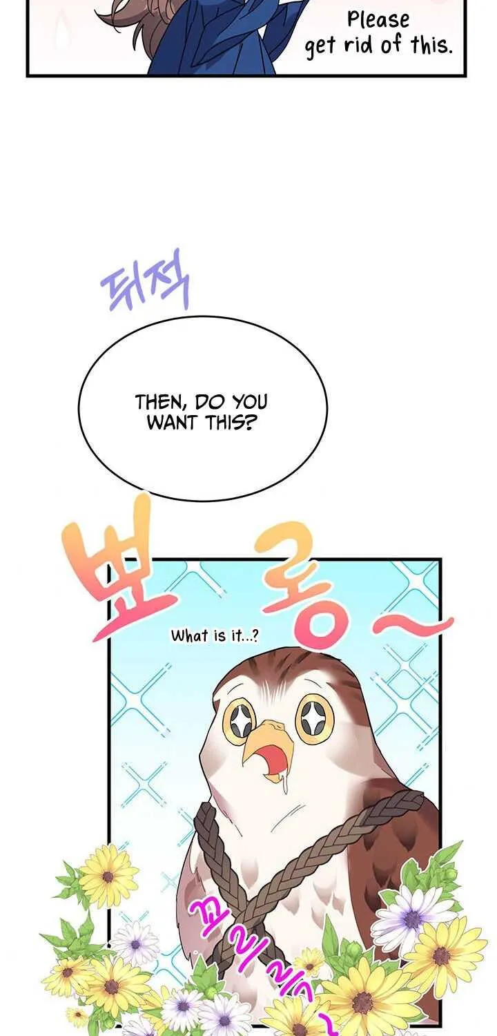 Read Cavier Falcon Princess chapter 4 image 27 on Lezhin