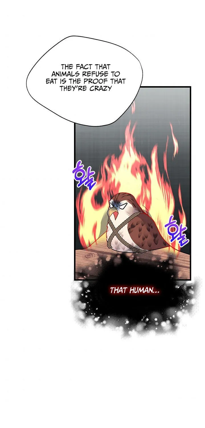 Read Cavier Falcon Princess chapter 4 image 36 on Lezhin