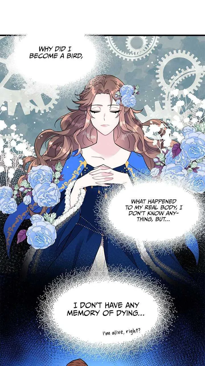 Read Cavier Falcon Princess chapter 4 image 47 on Lezhin
