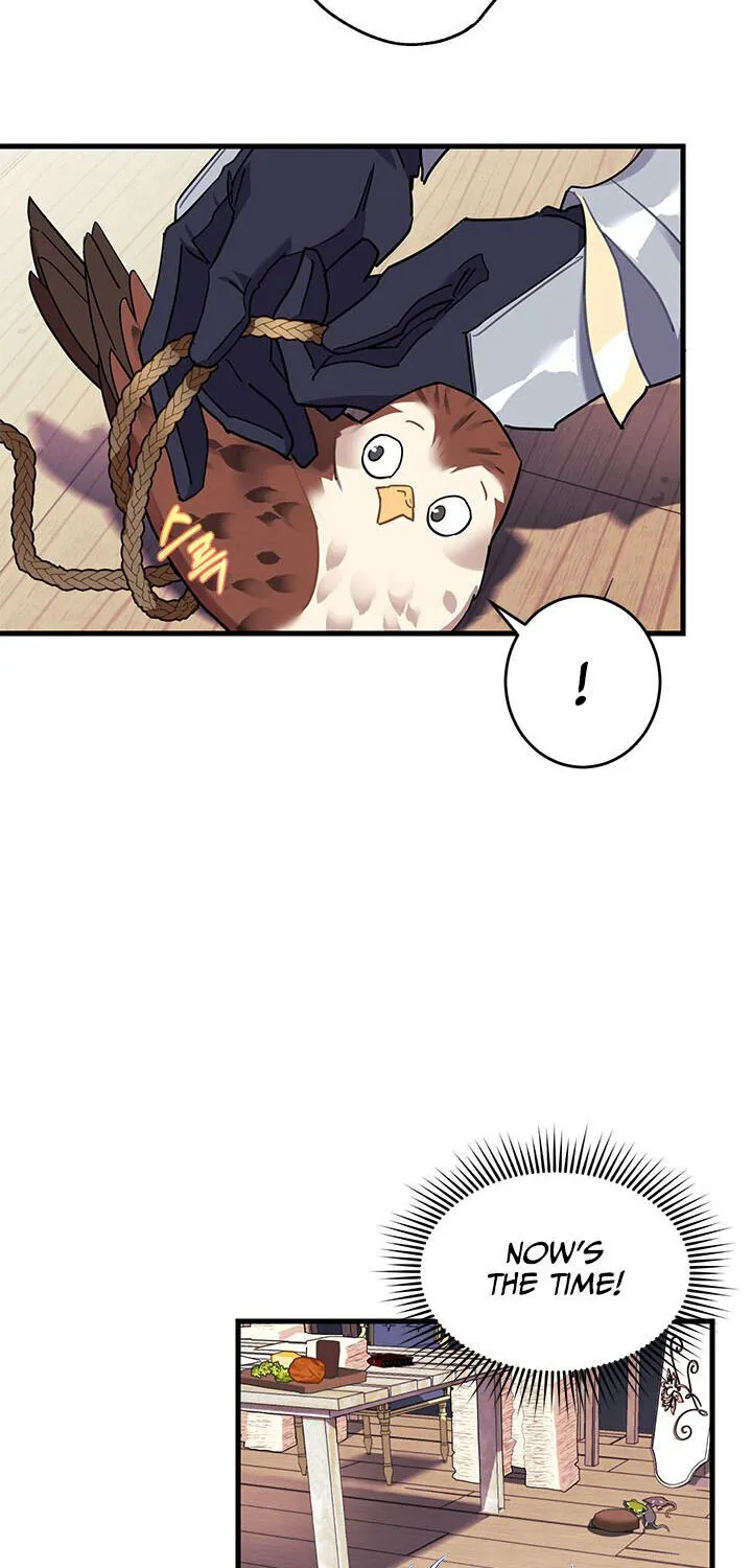 Read Cavier Falcon Princess chapter 4 image 66 on Lezhin