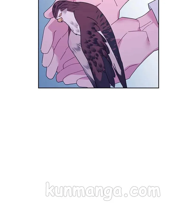 Read Cavier Falcon Princess chapter 40 image 17 on Lezhin