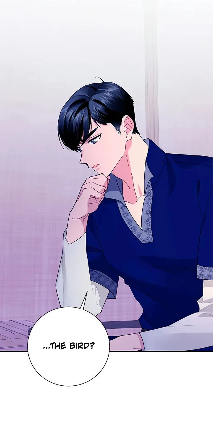 Read Cavier Falcon Princess chapter 40 image 20 on Lezhin