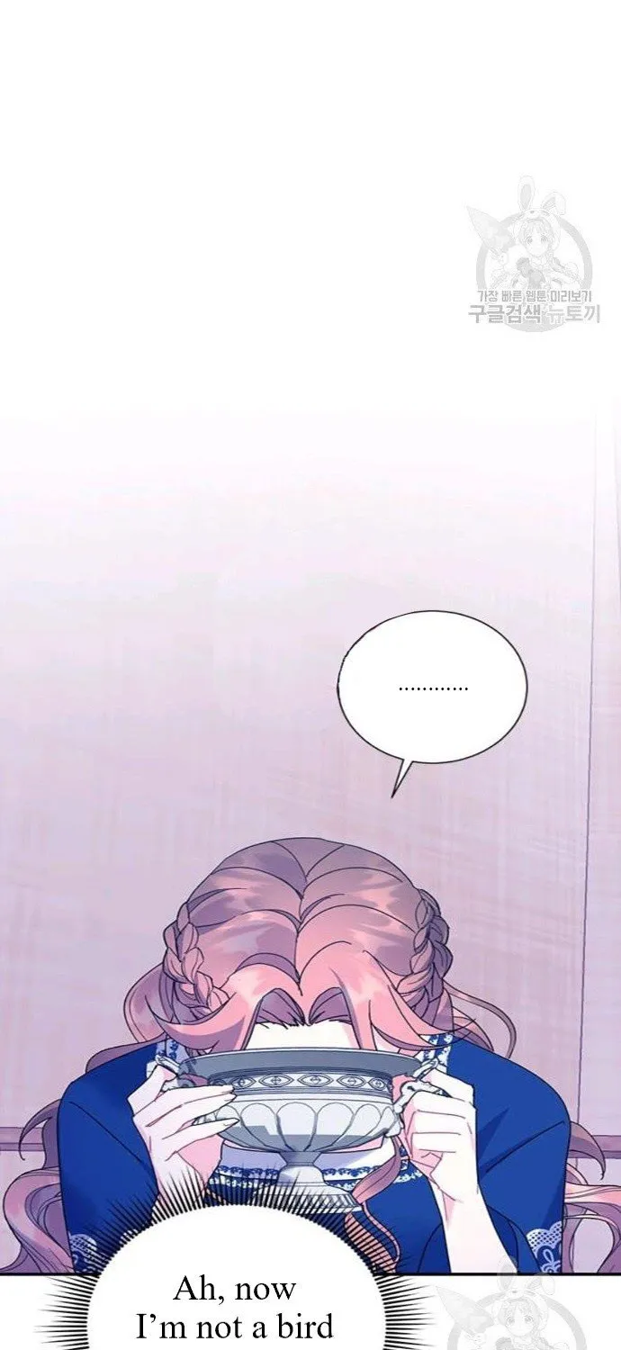 Read Cavier Falcon Princess chapter 42 image 0 on Lezhin