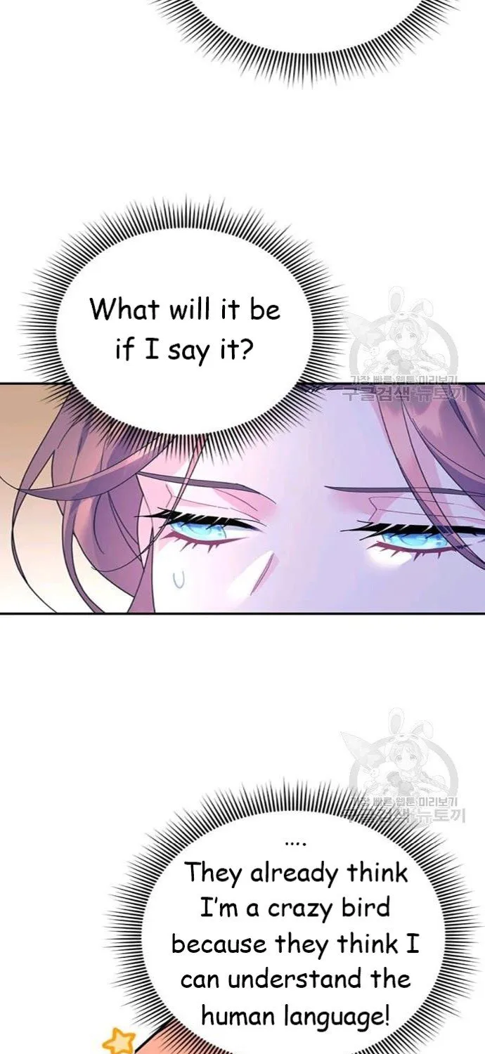 Read Cavier Falcon Princess chapter 42 image 16 on Lezhin