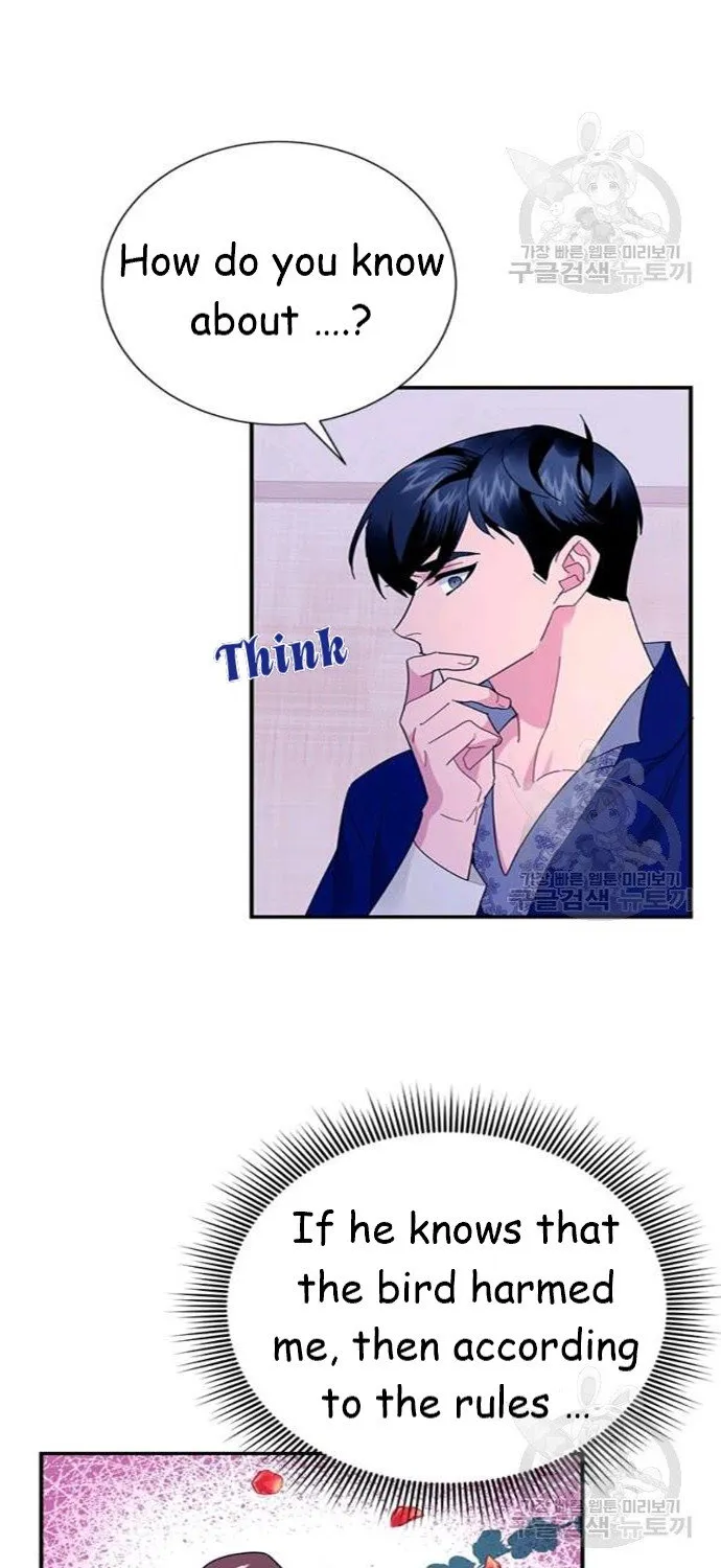Read Cavier Falcon Princess chapter 42 image 41 on Lezhin