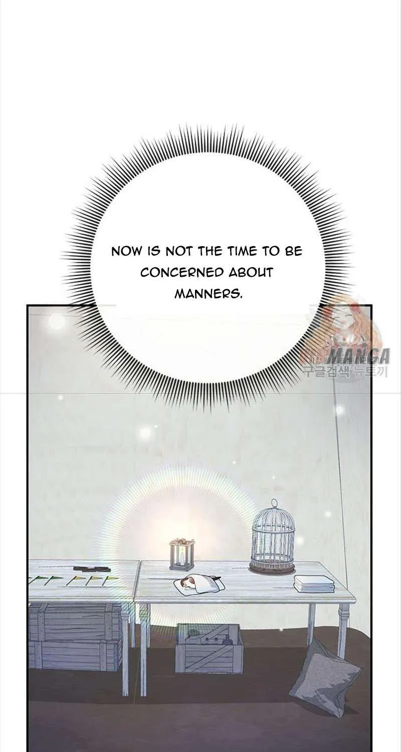 Read Cavier Falcon Princess chapter 43 image 16 on Lezhin