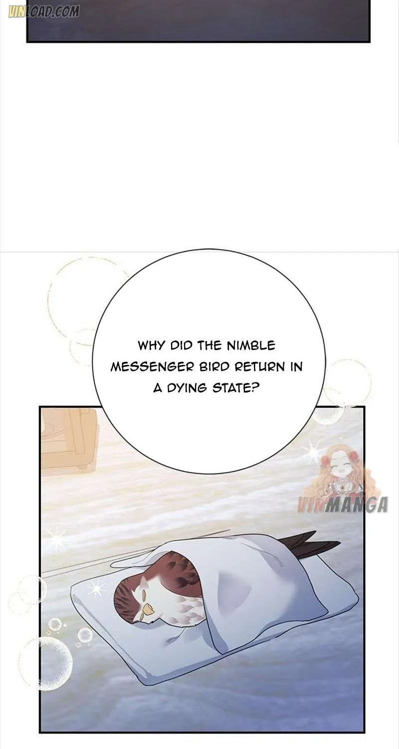 Read Cavier Falcon Princess chapter 43 image 17 on Lezhin