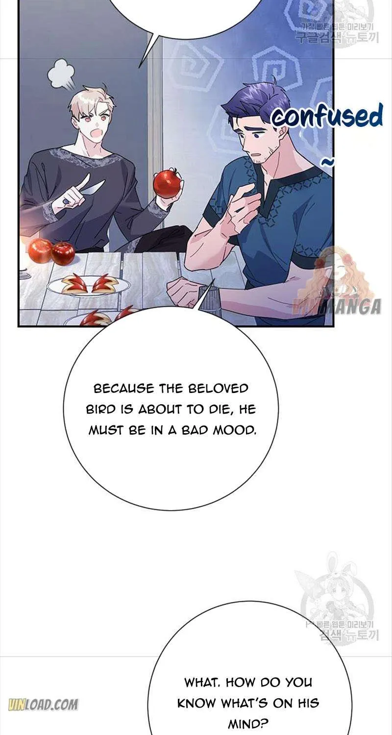 Read Cavier Falcon Princess chapter 43 image 37 on Lezhin