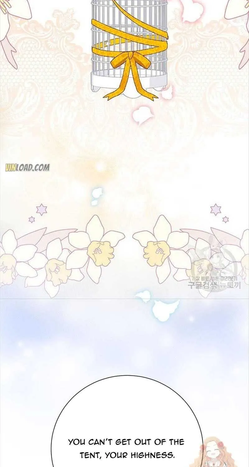 Read Cavier Falcon Princess chapter 43 image 94 on Lezhin