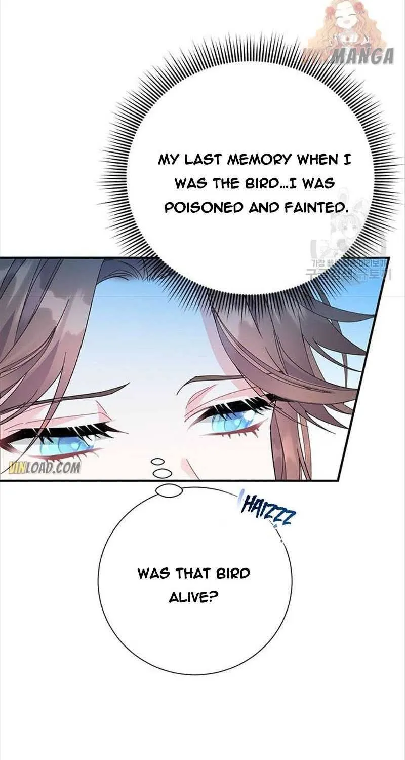 Read Cavier Falcon Princess chapter 44 image 8 on Lezhin