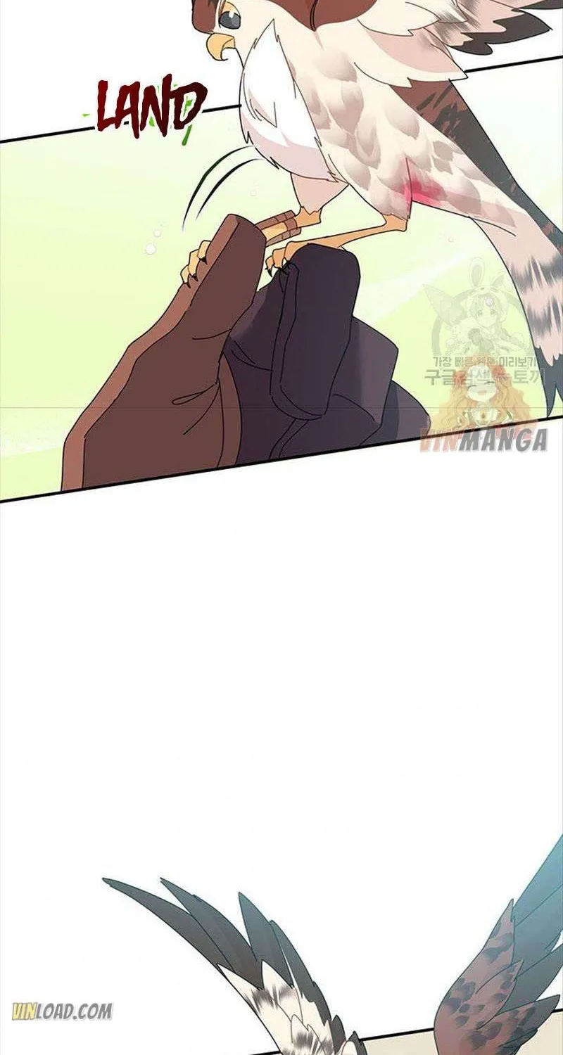 Read Cavier Falcon Princess chapter 44 image 84 on Lezhin