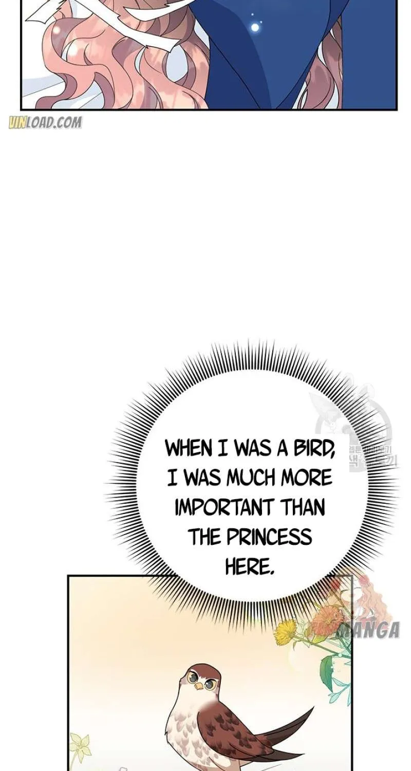 Read Cavier Falcon Princess chapter 46 image 40 on Lezhin
