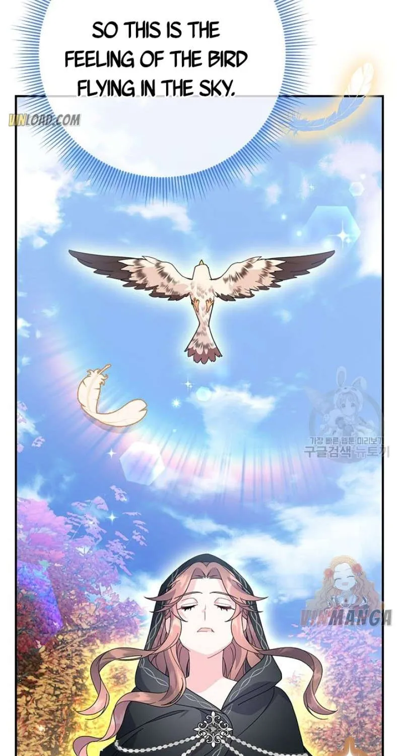 Read Cavier Falcon Princess chapter 46 image 81 on Lezhin