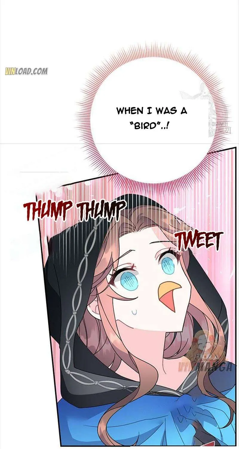 Read Cavier Falcon Princess chapter 49 image 59 on Lezhin