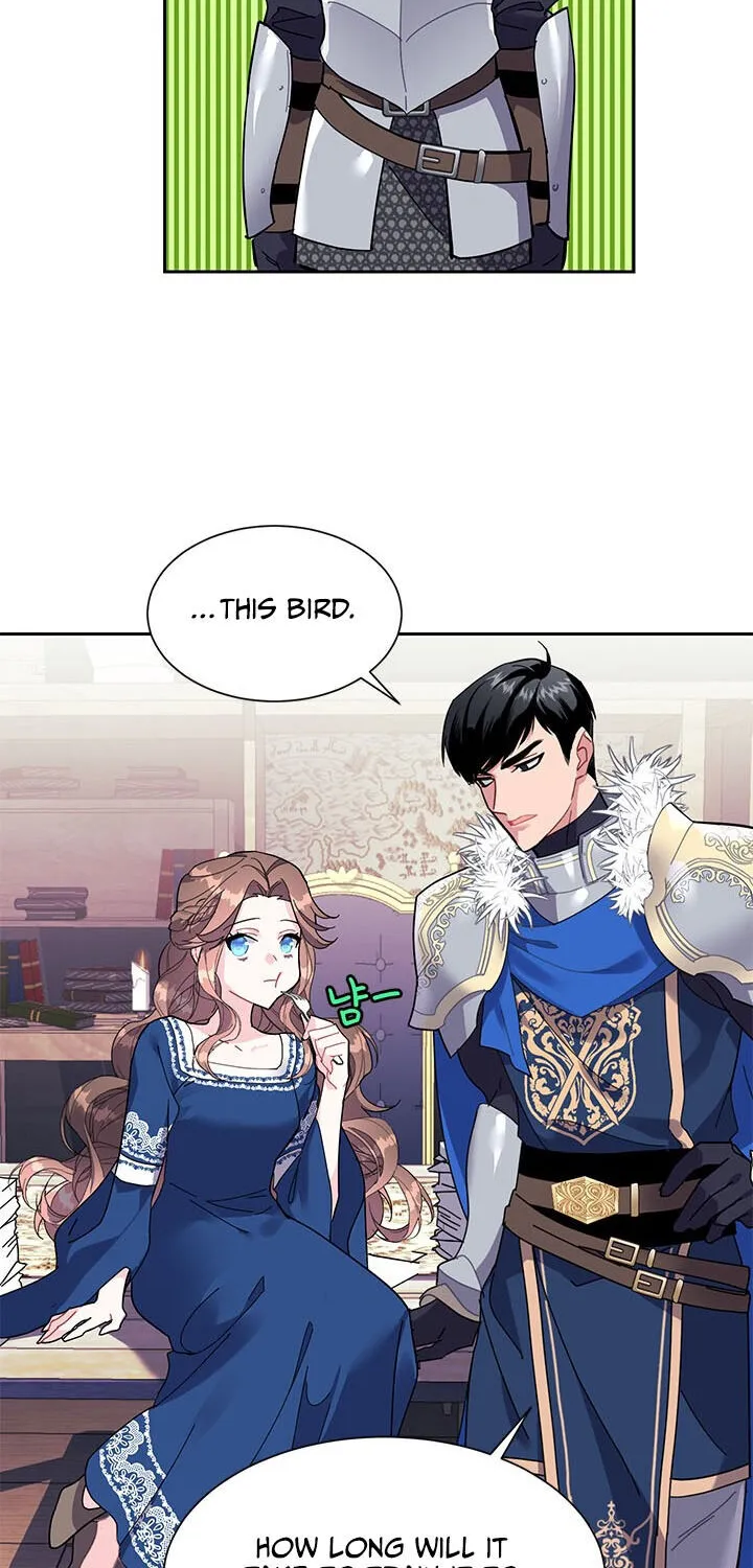 Read Cavier Falcon Princess chapter 5 image 13 on Lezhin