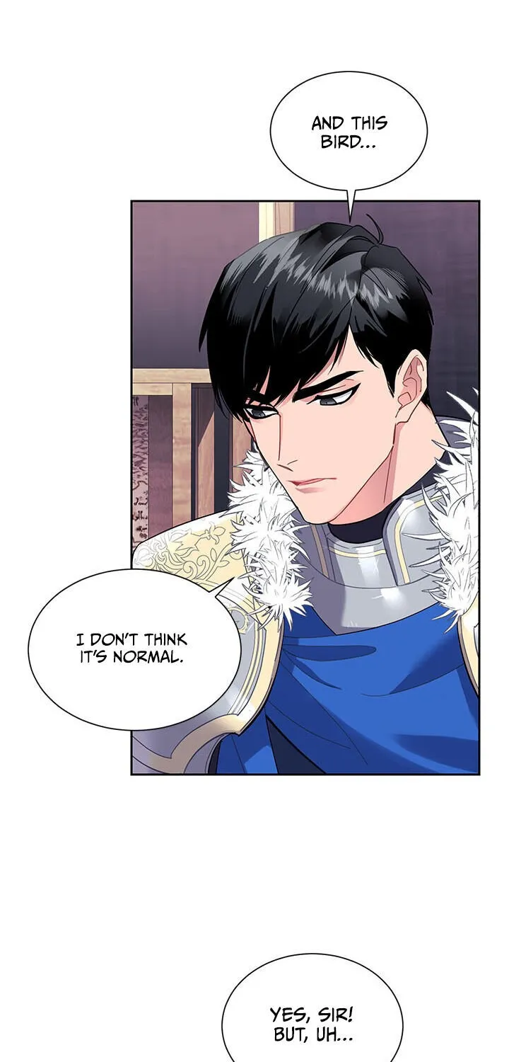 Read Cavier Falcon Princess chapter 5 image 15 on Lezhin