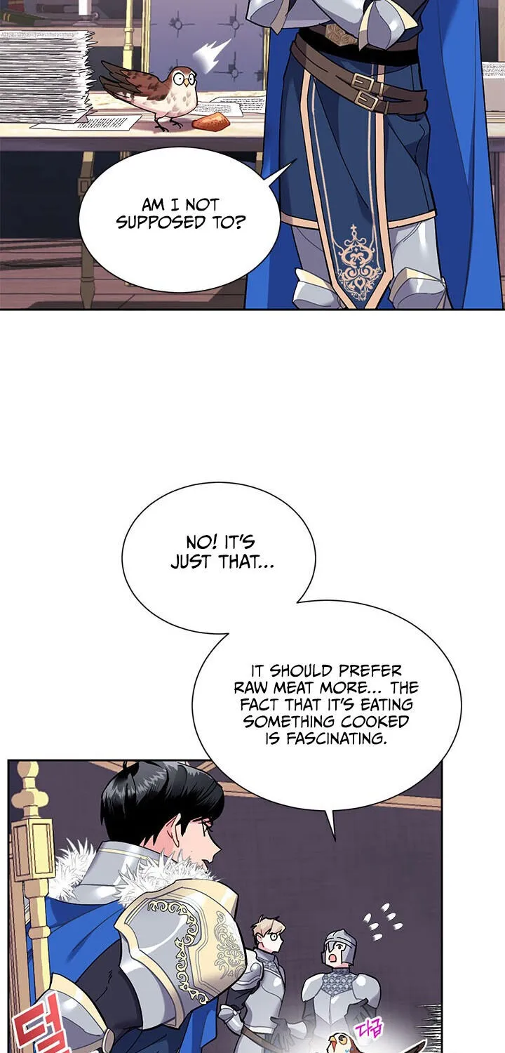 Read Cavier Falcon Princess chapter 5 image 17 on Lezhin