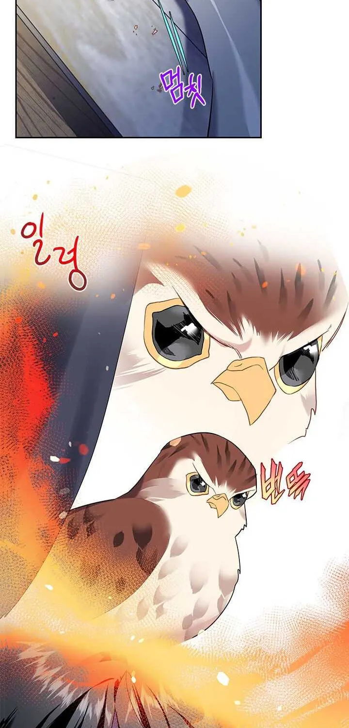 Read Cavier Falcon Princess chapter 5 image 26 on Lezhin