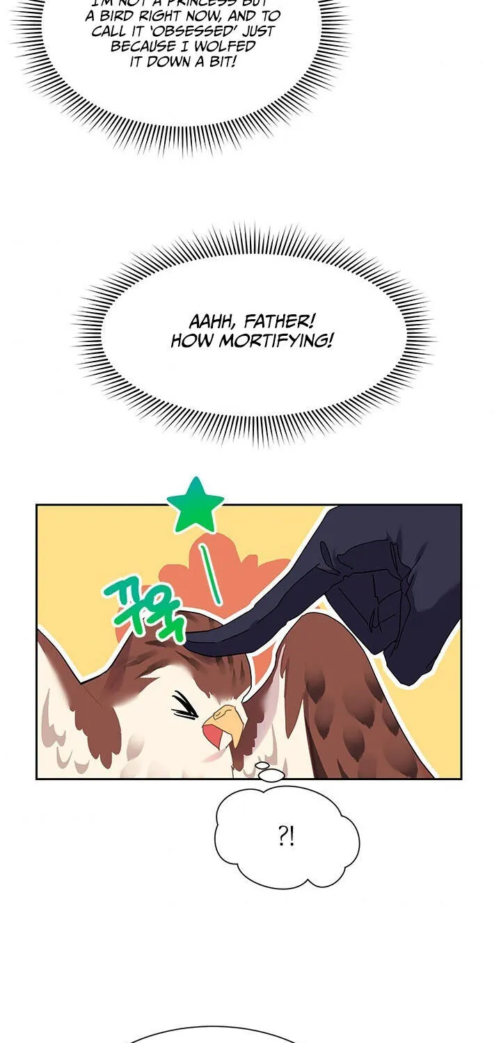 Read Cavier Falcon Princess chapter 5 image 3 on Lezhin
