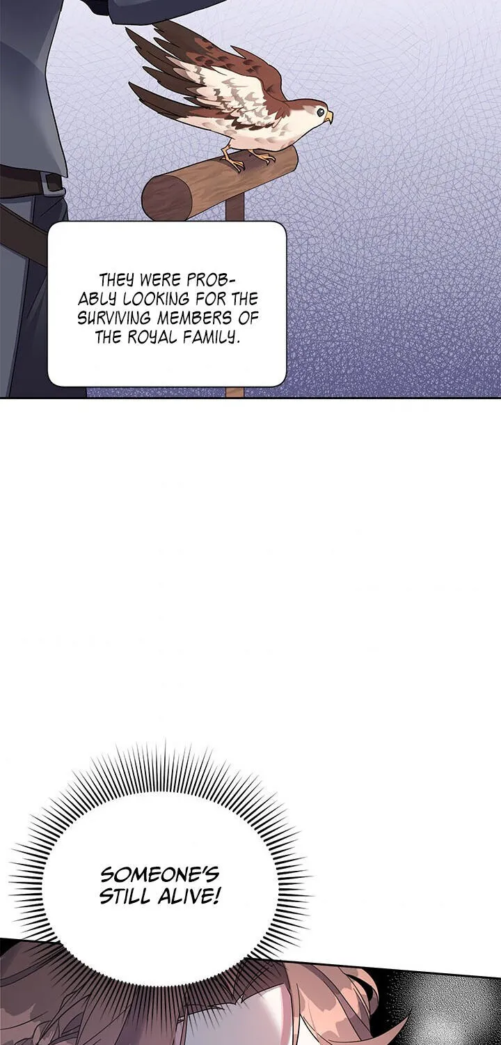Read Cavier Falcon Princess chapter 5 image 37 on Lezhin
