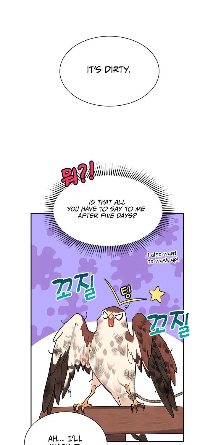 Read Cavier Falcon Princess chapter 5 image 42 on Lezhin