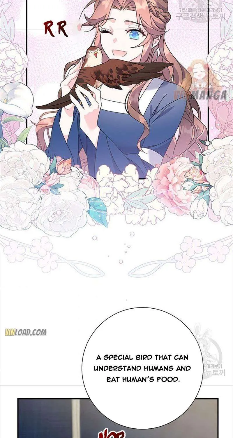 Read Cavier Falcon Princess chapter 50 image 28 on Lezhin