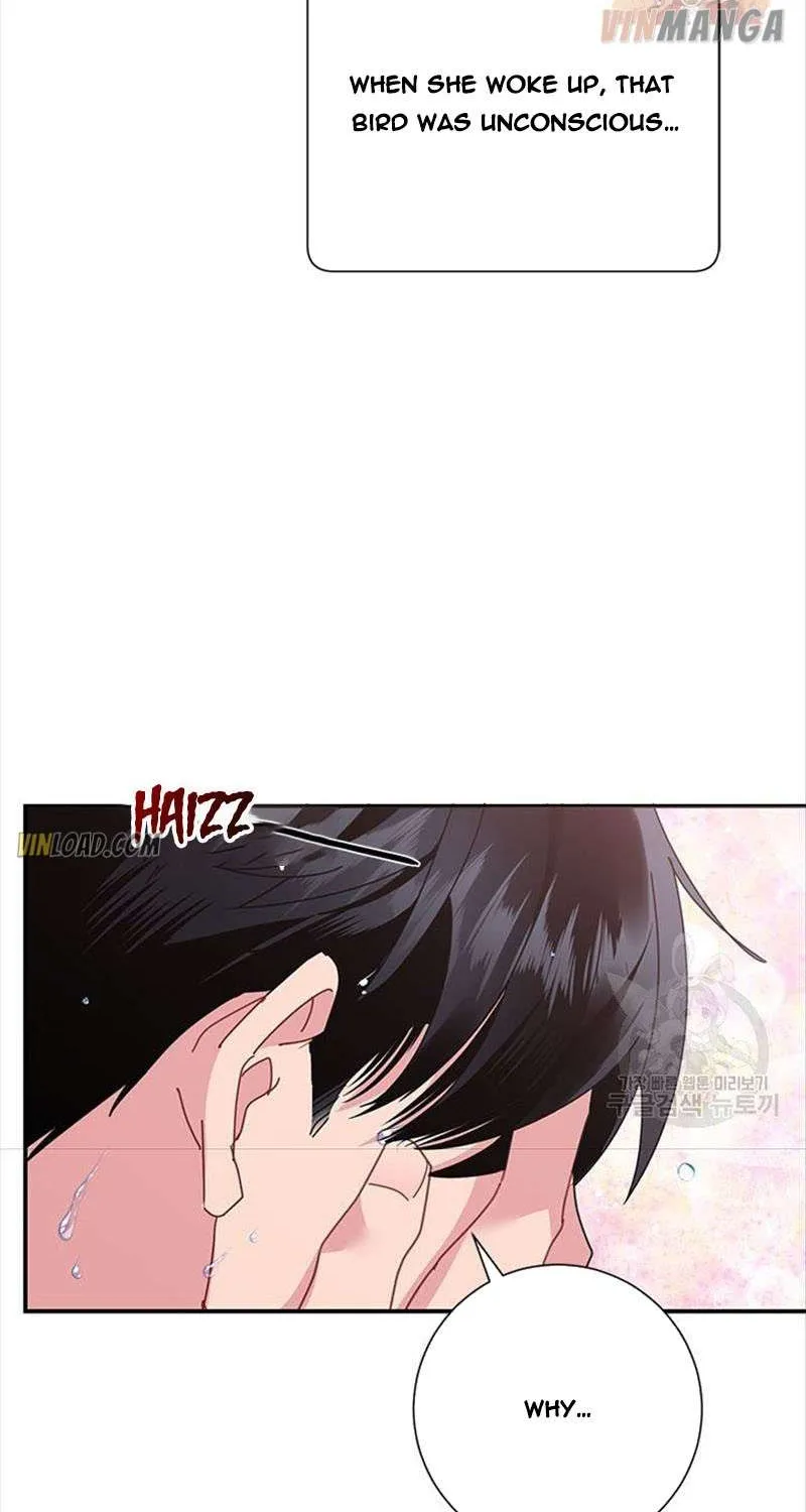 Read Cavier Falcon Princess chapter 50 image 33 on Lezhin