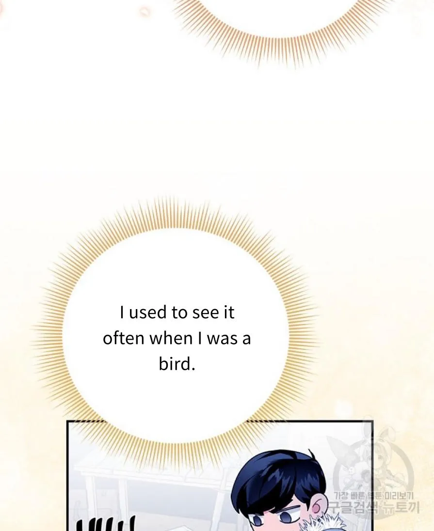 Read Cavier Falcon Princess chapter 57 image 18 on Lezhin