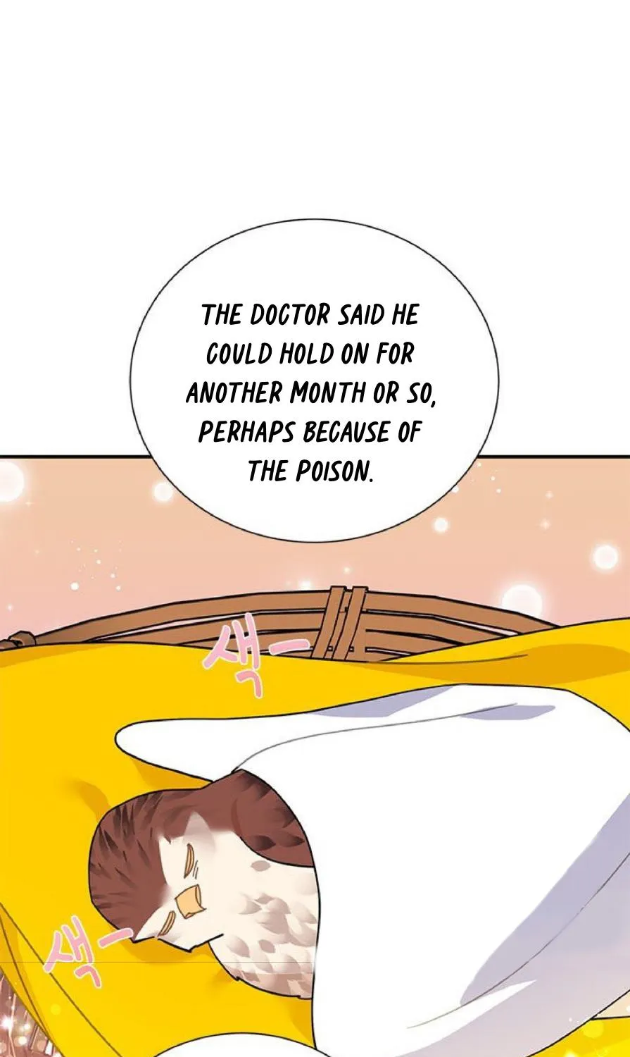 Read Cavier Falcon Princess chapter 59 image 19 on Lezhin