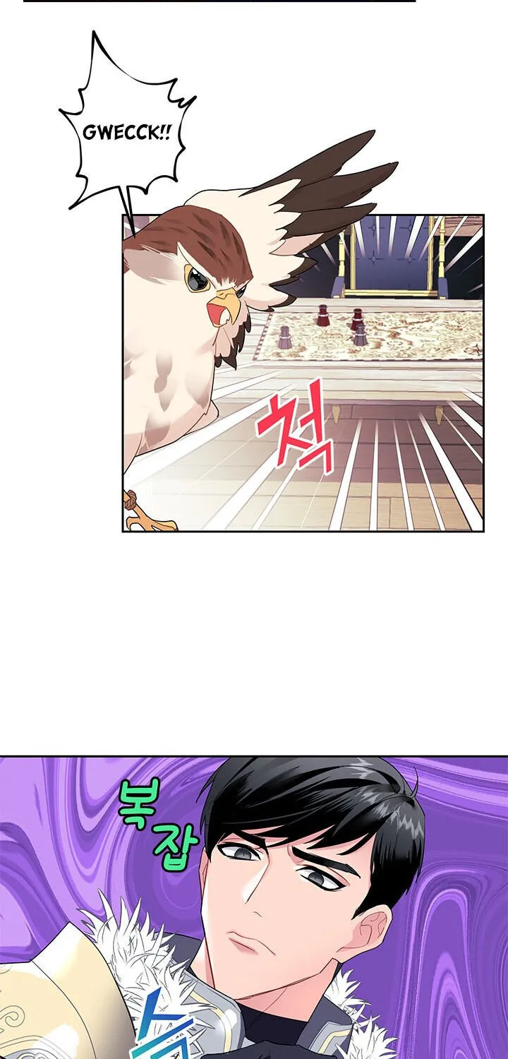 Read Cavier Falcon Princess chapter 6 image 11 on Lezhin