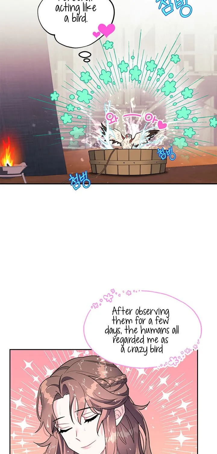 Read Cavier Falcon Princess chapter 6 image 22 on Lezhin