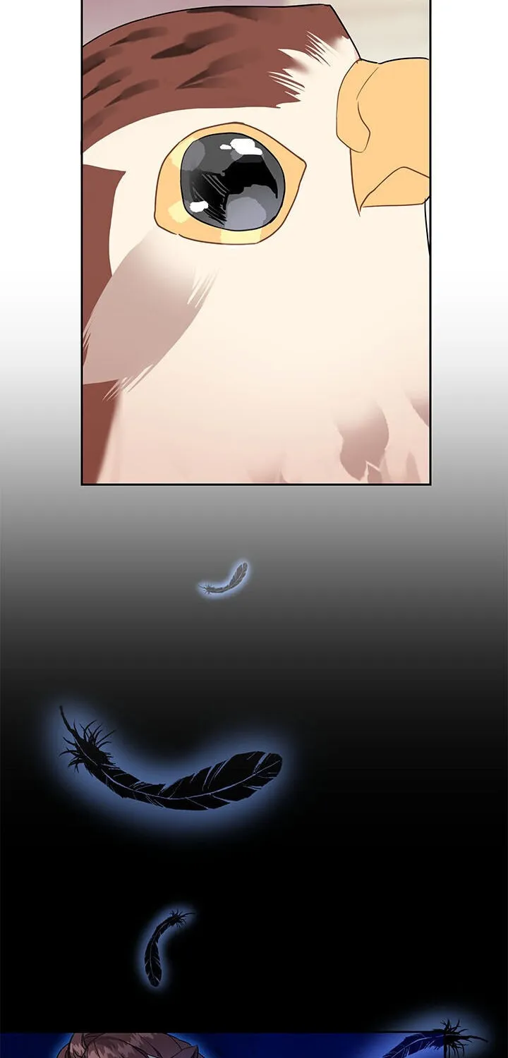 Read Cavier Falcon Princess chapter 6 image 57 on Lezhin