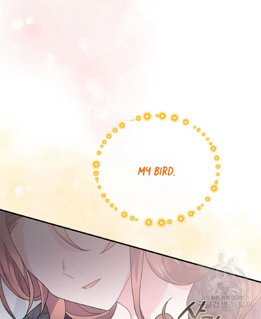 Read Cavier Falcon Princess chapter 62 image 11 on Lezhin