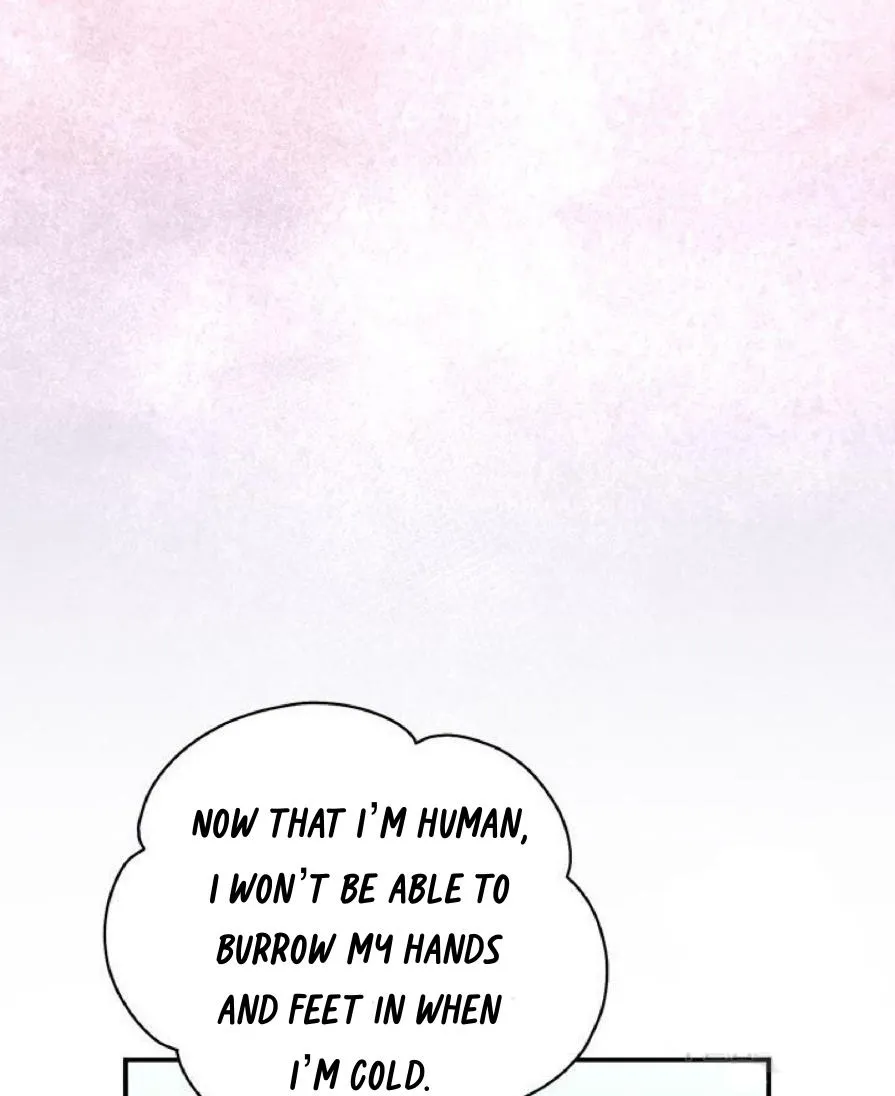 Read Cavier Falcon Princess chapter 62 image 38 on Lezhin