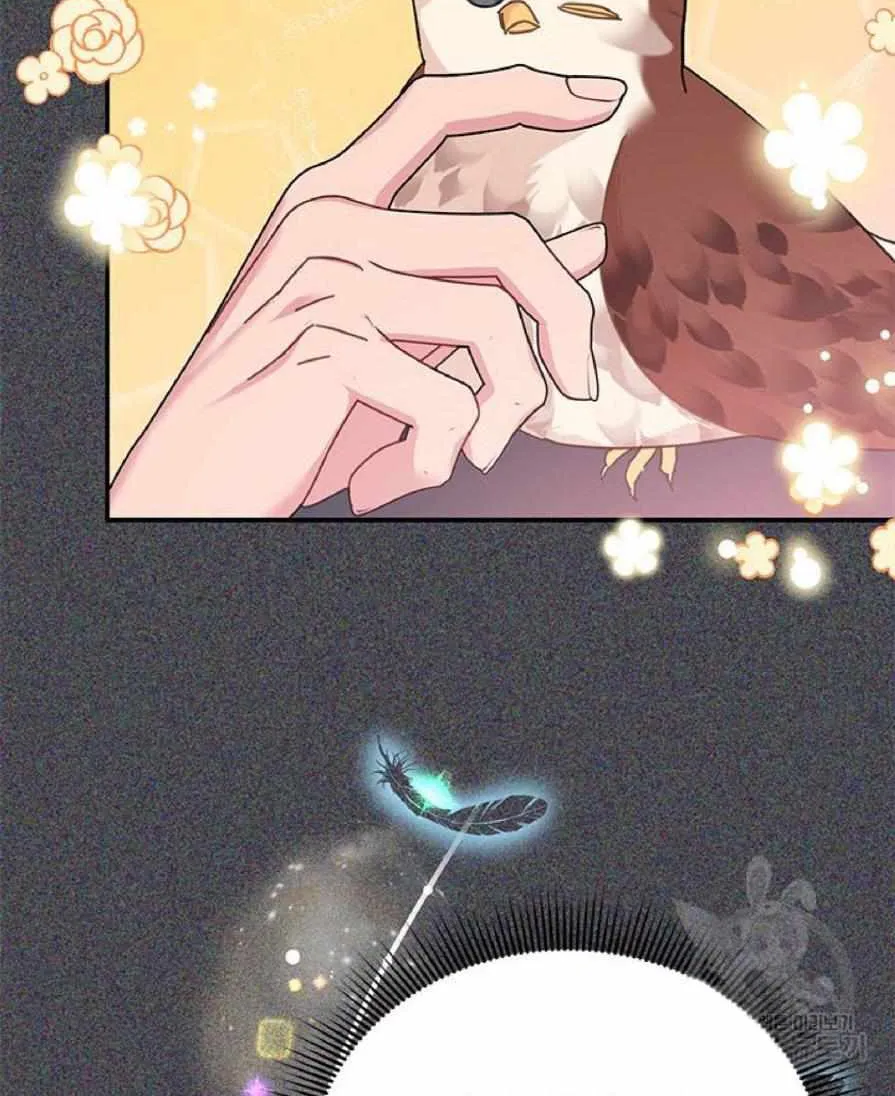 Read Cavier Falcon Princess chapter 62 image 5 on Lezhin