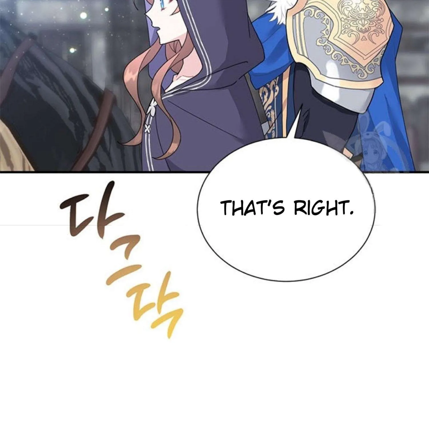 Read Cavier Falcon Princess chapter 66 image 13 on Lezhin
