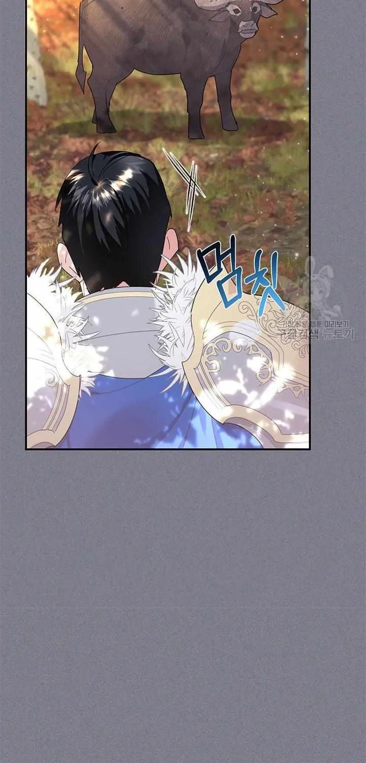 Read Cavier Falcon Princess chapter 69 image 31 on Lezhin