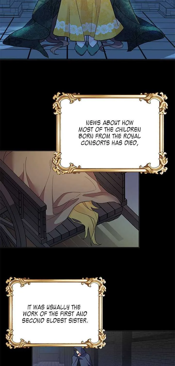 Read Cavier Falcon Princess chapter 7 image 12 on Lezhin