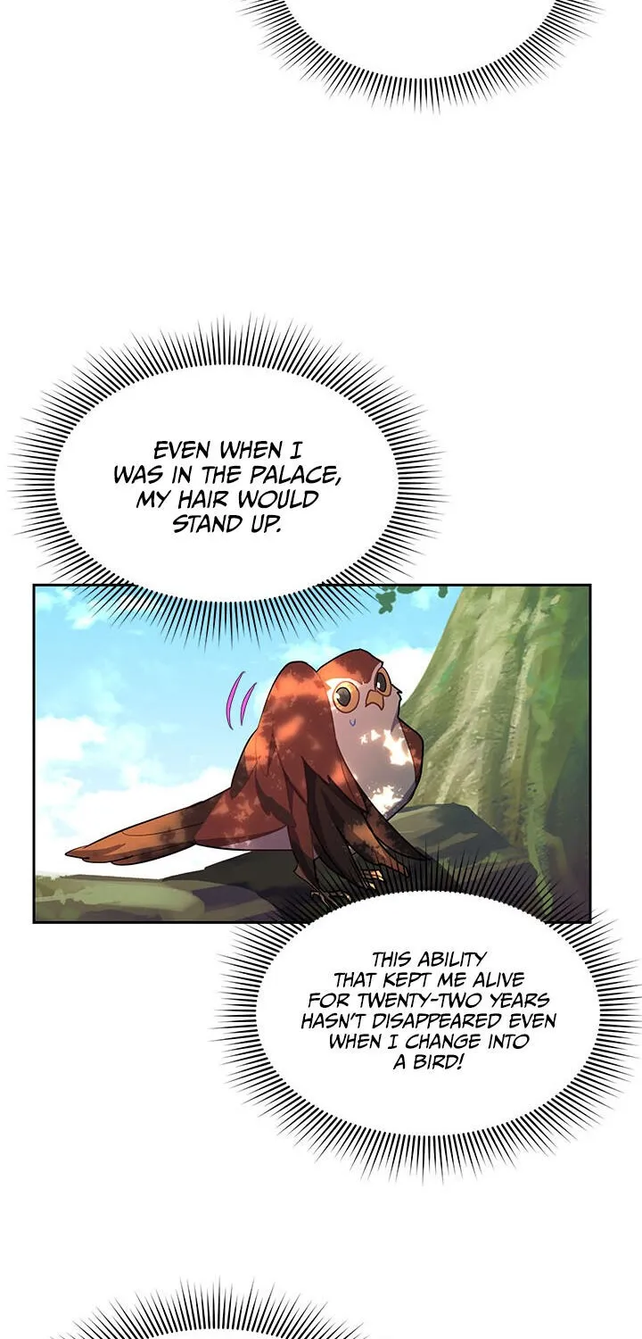 Read Cavier Falcon Princess chapter 7 image 29 on Lezhin