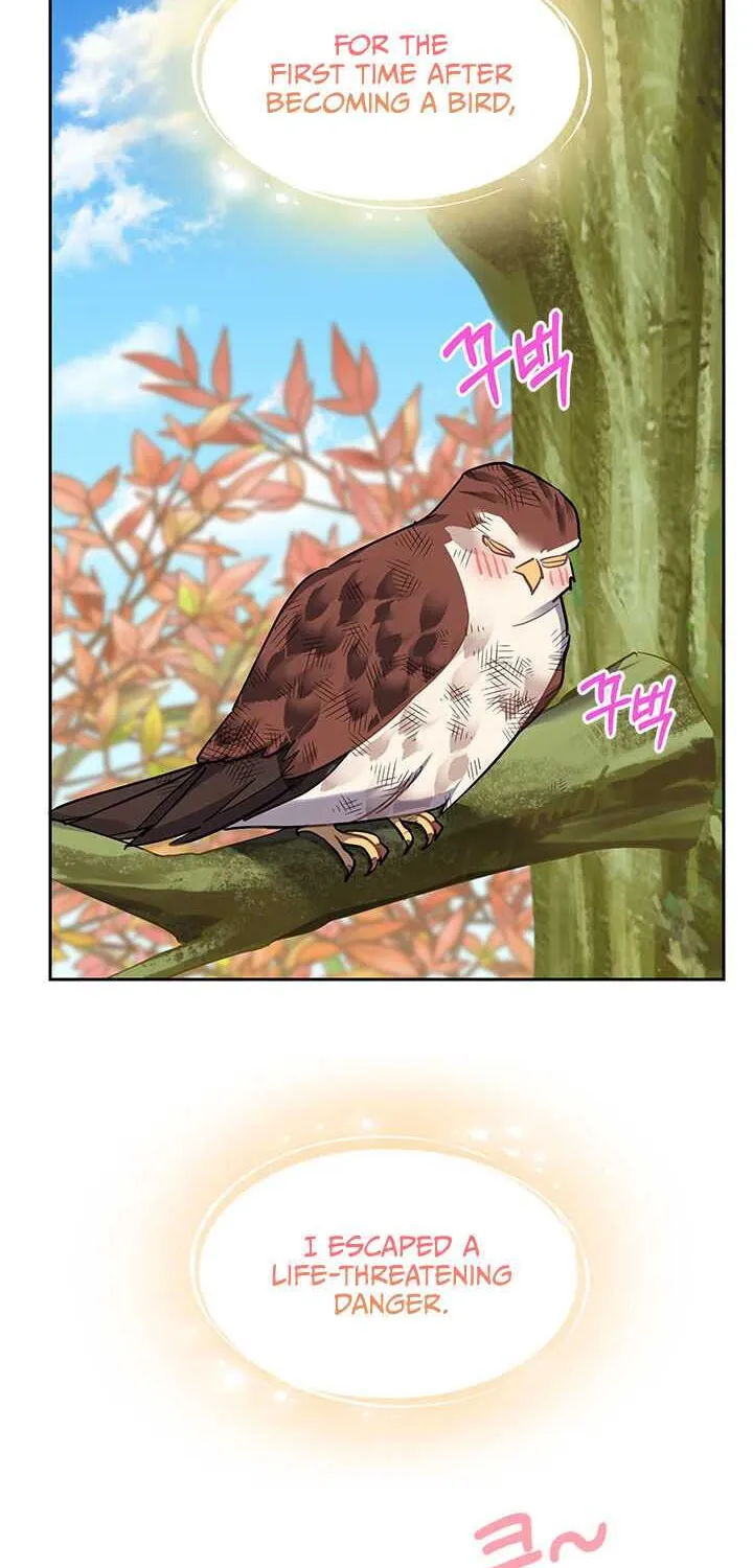 Read Cavier Falcon Princess chapter 7 image 31 on Lezhin