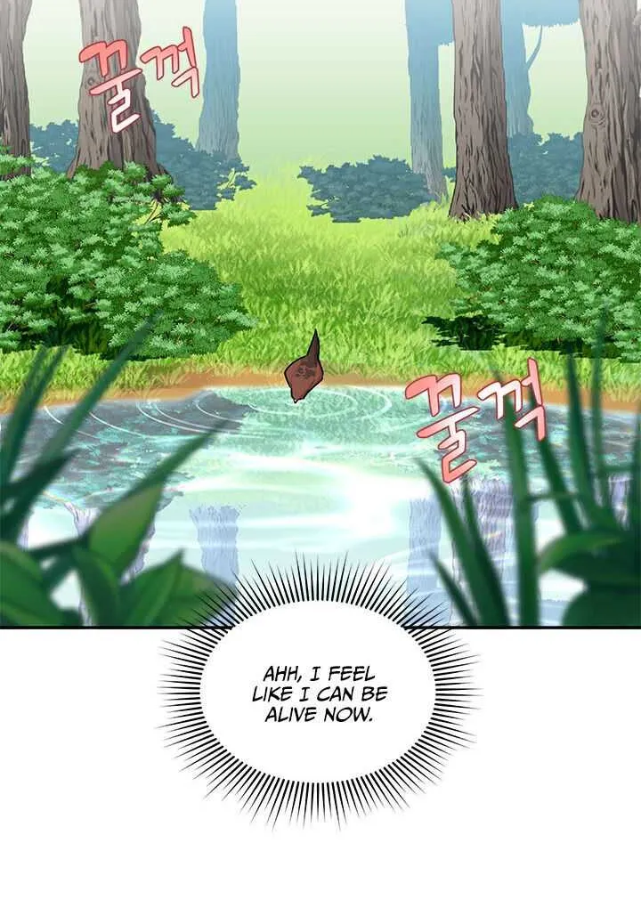 Read Cavier Falcon Princess chapter 7 image 33 on Lezhin