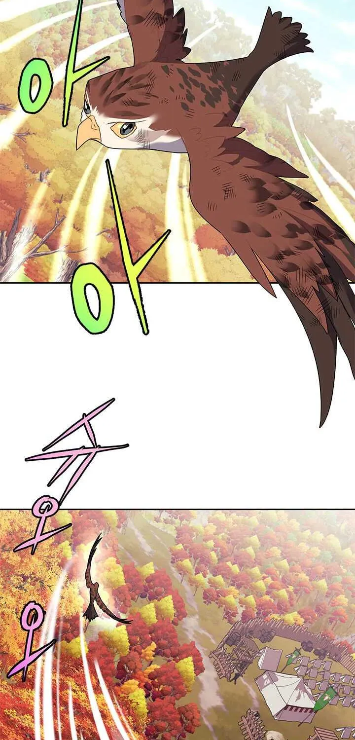 Read Cavier Falcon Princess chapter 7 image 45 on Lezhin