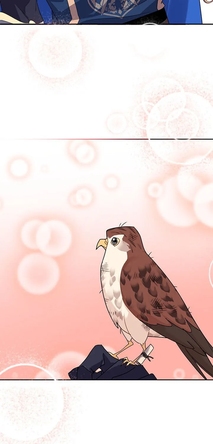 Read Cavier Falcon Princess chapter 7 image 50 on Lezhin